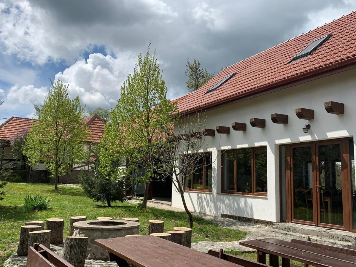 Casa Vatra Sinteului - Cu Sala De Evenimente De Capacitate Mare - Se Inchiriaza Integral Villa Socet Exterior photo